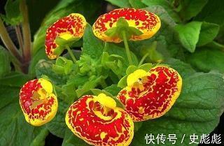 久而久之成语接龙游戏
