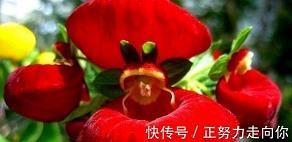 姜太公封板壁神打一成语