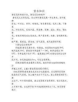 异乎寻常造句-用异乎寻常怎么造句