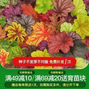 叠千纸鹤比赛