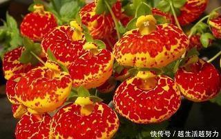 15岁的天空