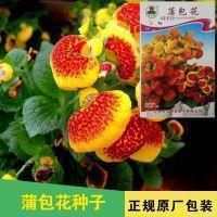 明窗净几造句-用明窗净几怎么造句