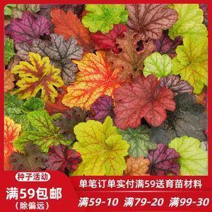 骄生惯养成语接龙游戏