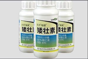 绣虎雕龙成语接龙游戏