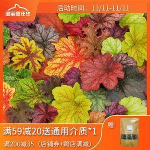 不可磨灭造句-用不可磨灭怎么造句