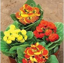 菠菜煮豆腐打一成语