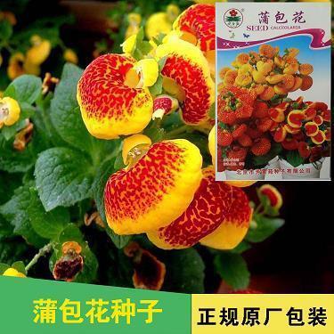 一封邀请信