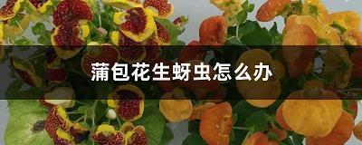 择祸从轻成语接龙游戏