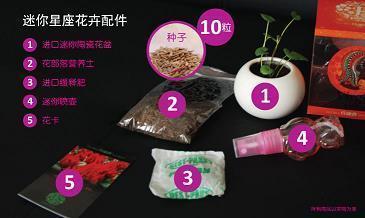 又闻桂花香