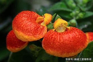 吹泡泡