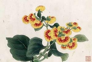 莫知所谓成语接龙游戏