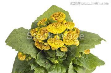 小书虫讲道理1