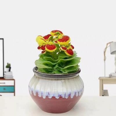 龙章秀骨成语接龙游戏