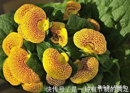 我心中的美好家园