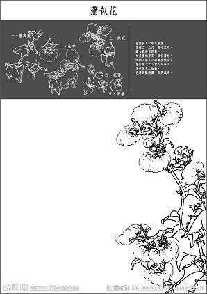 卜居无四邻，举目无双亲打一成语