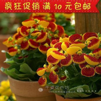 美中不足造句-用美中不足怎么造句