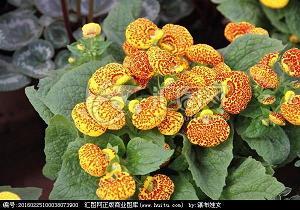 分享青春 共筑未来