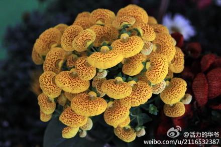 再见，最后一个夏天