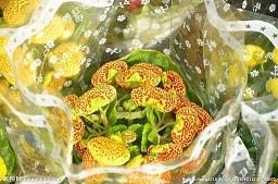 扬己露才成语接龙游戏