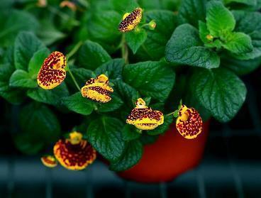 《我的季节我做主》