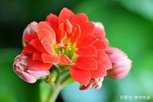 参观垃圾中转站