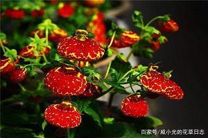 安静的夏天