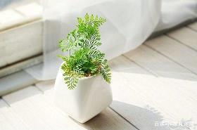 车载斗量造句-用车载斗量怎么造句