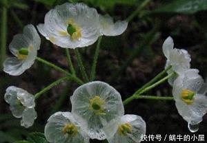 超然远举成语接龙游戏