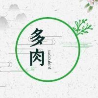 只愿青春岁月无可辜负