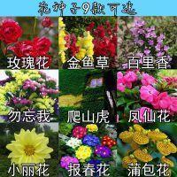 凝望星空，感悟月亮