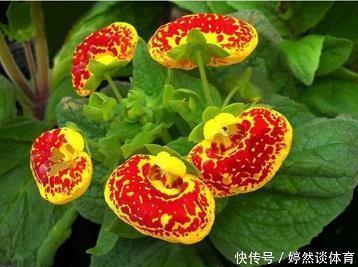 原来的邮箱失踪了