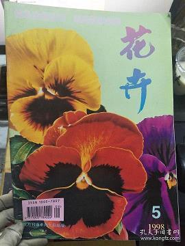 中秋之夜