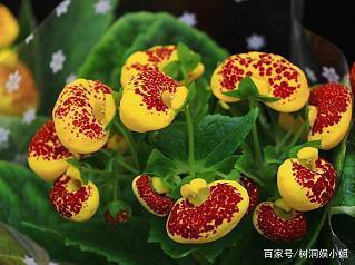 脍炙人口造句-用脍炙人口怎么造句