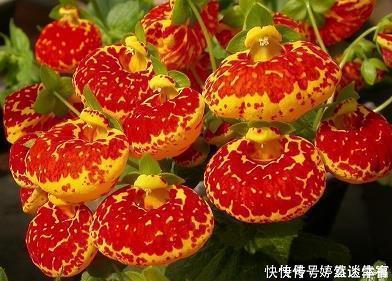 不一样的爱