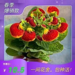 大自然的声音