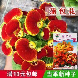 吓人的台风