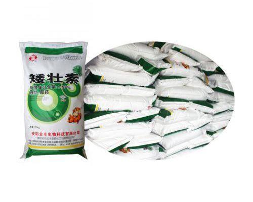 乡村的战斗