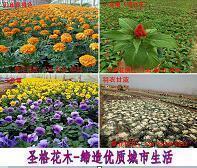 雕镂藻绘成语接龙游戏