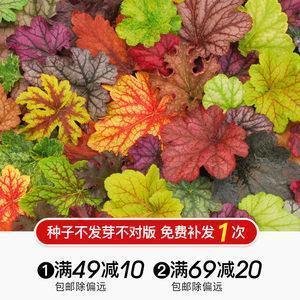 悼心疾首成语接龙游戏