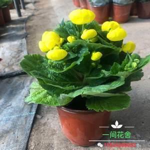 名垂青史成语接龙游戏