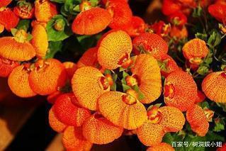 忍俊不禁造句-用忍俊不禁怎么造句
