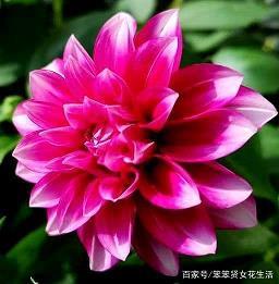 负隅依阻成语接龙游戏