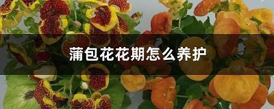 一件难忘的事