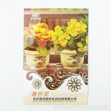 假如时光倒流