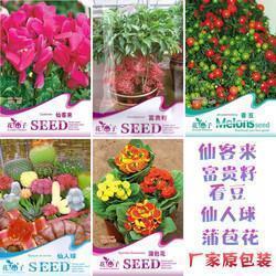 叱咤风云造句-用叱咤风云怎么造句