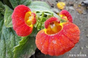 亲近大自然