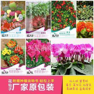 丢盔弃甲造句-用丢盔弃甲怎么造句