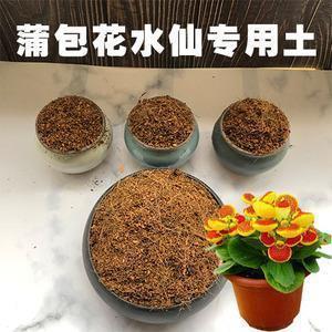 七年级国庆节趣事见闻作文6篇