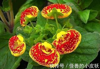 一颗被友情伤害的心