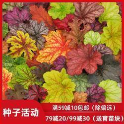 不可终日造句-用不可终日怎么造句